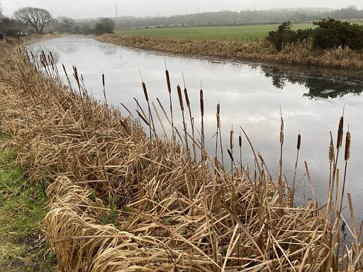 St Leonards Ramblers East Kilbride - Helix Photo 3.